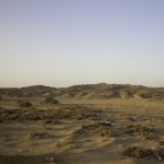 _MG_4120