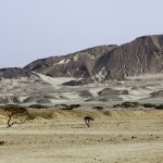 _MG_4543