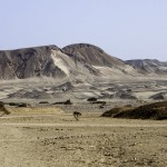 _MG_4545