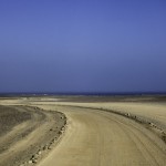 _MG_4551