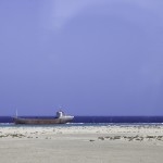 _MG_4801