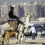 Camel guards! Okay, not quite as fearsome as bear cavalry.
