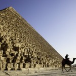 "Ride the camel please!"
