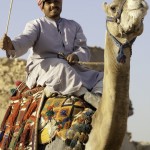 The one very helpful camel jockey