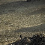 _MG_5057