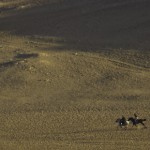 _MG_5064