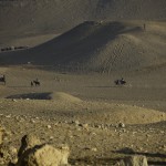 _MG_5067