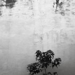_MG_5022-Edit